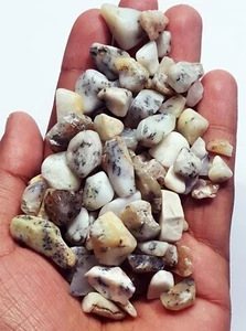 Increíble lote de 400+ quilates de ópalo dendrita 100 % natural piedras preciosas sueltas - Imagen 1 de 6