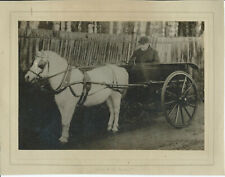 BERKSHIRE, NEWBURY AREA, G.W. JONES ON HIS 80TH BIRTHDAY, 8" x 5.5" SEPIA PHOTO