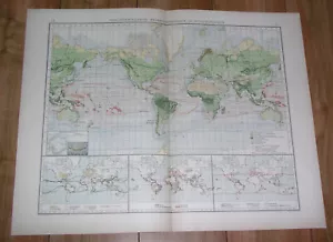 1899 ANTIQUE MAP OF THE WORLD VEGETATION OCEAN CURRENTS PLANTS AMERICA ASIA - Picture 1 of 11