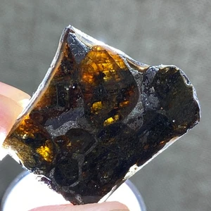 9,65Ct Brenham Olive Meteorit Anhänger Olive Meteorite Scheibe - Bild 1 von 6