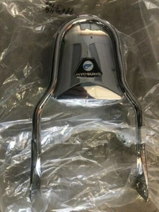 Hyosung United Motors Backrest GV250 Sissy Bar Aquila Alpha Sports Kasinski ATK - Bild 1 von 2