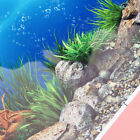 Double Sided Aquarium Seascape Wallpaper - Underwater Vinyl Photography