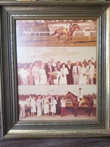 1978 HOLLYWOOD TURF INVITATIONAL WINNER'S CIRCLE PHOTO - EXCELLER - Picture 1 of 1