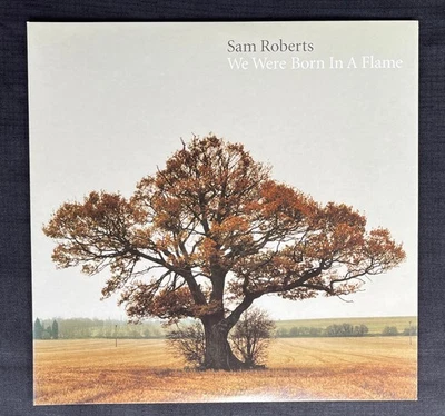 SAM ROBERTS FULLY AUTOGRAPHED 2003 WE WERE BORN IN A FLAME 12" 2LP NM Rock Indie - Image 1 of 4