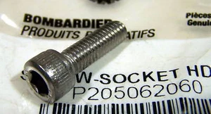 QTY 4 Nuevo FABRICANTE DE EQUIPOS ORIGINALES Bombardier Socket Head Perno 205062060 - Imagen 1 de 1