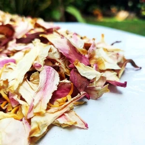 Dried White Lotus Cut Flowers Nymphaea Lotus 100% Pure Herbal Herbal Tea 500g - Picture 1 of 7