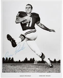 Brian Piccolo Signed Autographed 8x10 Photo Chicago Bears PSA/DNA AI00525 - Picture 1 of 4