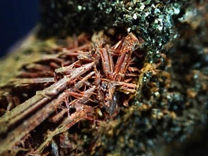 Rutile crystals in Nelsonite. Mount Isa, Queensland, Australia. S806 - Picture 1 of 5