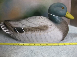 Vintage JC Higgins Duck Decoy. Life-Like. Mallard. Sears Roebuck and Co. - Picture 1 of 4