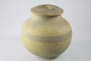 VINTAGE AUSTRALIAN STUDIO POTTERY HAND PAINTED STONE WARE LIDDED VASE - Picture 1 of 10