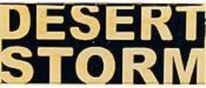 desert storm pin - Bild 1 von 1