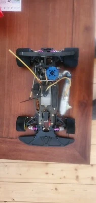 serpent vector rex novarrossi - Photo 1/3