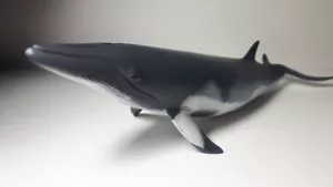 2019 NEW Collecta Animal Toy / Figure Minke Whale - Picture 1 of 3