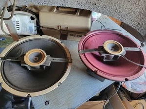 VINTAGE Stromberg Carlson Personalizado Cuatrocientos Amplio Rango Alta Fidelidad 12" - Imagen 1 de 14
