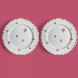 Antique Haviland Gainsborough Dinner Plates Schleiger 746 Set Of 2 - Picture 1 of 4