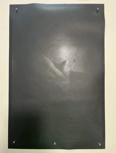 2016 - Black Friday Frank Ocean - Blonde Hand On Face - Original Glossy Version - Picture 1 of 17