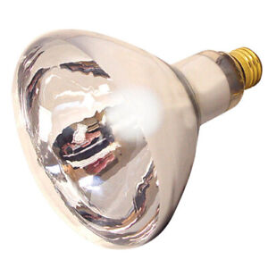 Heat Lamp 125W Bulb Clear 1 Each  by Satco