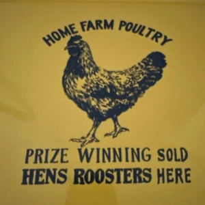 Hen Poultry Roosters Enameled Serving Dish Farmhouse Country Cottage Tray New - Picture 1 of 7