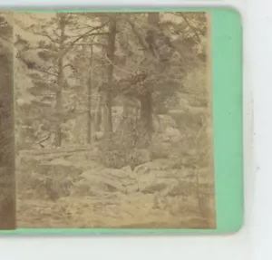 Rocks in Forest Near Devil's Lake WI Wisconsin Stereoview c1870 - Imagen 1 de 3