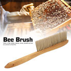 Beekeeping Brush Wooden Convenient Bee Brush Comfortable Double Row For