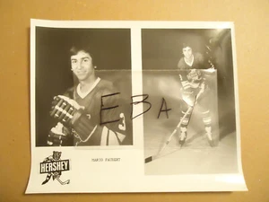 Mario Faubert 1975-76 Hershey Bears AHL hockey photo - Picture 1 of 1