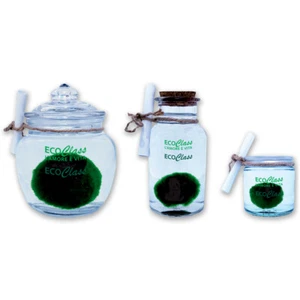 Marimo collezione completa 3 vasetti in vetro di misure diverse - Foto 1 di 1