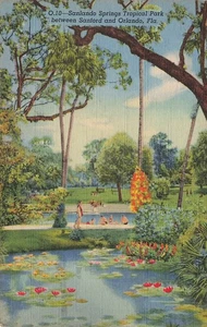 POSTCARD Sanlando Springs, Sanford and Orlando, FL - Tropical Park - Picture 1 of 2