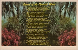 Poema Leyenda del Musgo Español Florida FL c1970s Postal 8072.1 - Imagen 1 de 7