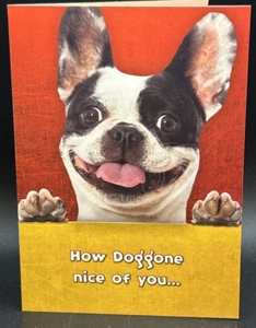 Thank You (Paws & Claws) Greeting Card w/Envelope - Picture 1 of 4