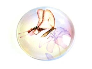3 x Cabochon rund 30 mm Schmetterling Glas Cabochonschmuck Glasschmuck - Bild 1 von 1