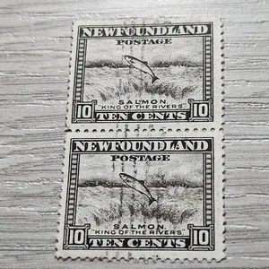 Newfoundland Scott 193 Pair 1932-38 Salmon Leaping Falls 10 cents Used Cancelled - Picture 1 of 2