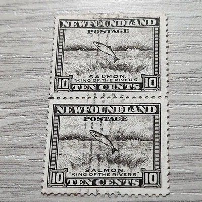Newfoundland Scott 193 Pair 1932-38 Salmon Leaping Falls 10 cents Used Cancelled - Image 1 of 2