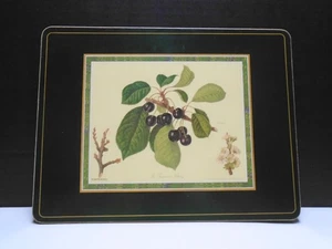 Vintage 4er Set Pimpernel Gartenbau Obst Sammlung 9 x 12" Kork Tischsets - Bild 1 von 6