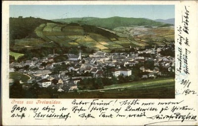 Freiwaldau  x 1902 - Bild 1 von 2