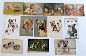 12 Bulldogge flache Kühlschrankmagnete verschiedene Größen - Bild 1 von 1