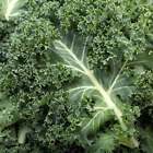 Kale - Seeds - Organic - Non Gmo - Heirloom Seeds – Vegetable Seeds