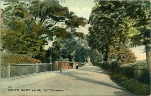 PRINTED POSTCARD OF WHITE HART LANE, TOTTENHAM, (LONDON), MIDDLESEX - Picture 1 of 2
