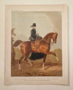 BROOKS A Ladies Horse, Pembroke (1878 Side Saddle Chromolithograph) - Picture 1 of 1