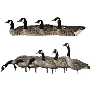 Avian X Topflight Honker Floaters Bundled with X AXP Honkers Canada Goose Decoys - Picture 1 of 12