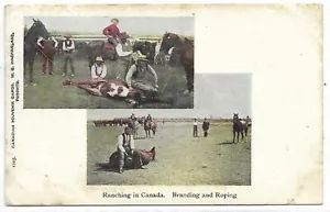 Ranchería de postales en Canadá, editor de marca y cuerda W. G. MacFarlane - Imagen 1 de 2
