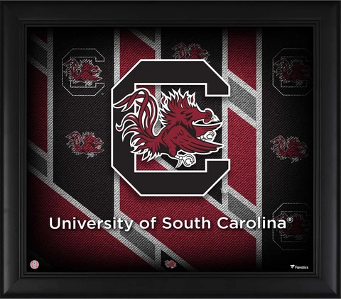 South Carolina Gamecocks Framed 15" x 17" Team Threads Collage Cover
