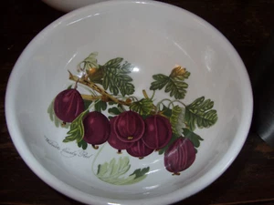 PORTMEIRION POMONA WILMOT'S WILMOTS EARLY RED GOOSEBERRY 5.5" FRUIT BOWL V. RARE - Picture 1 of 8