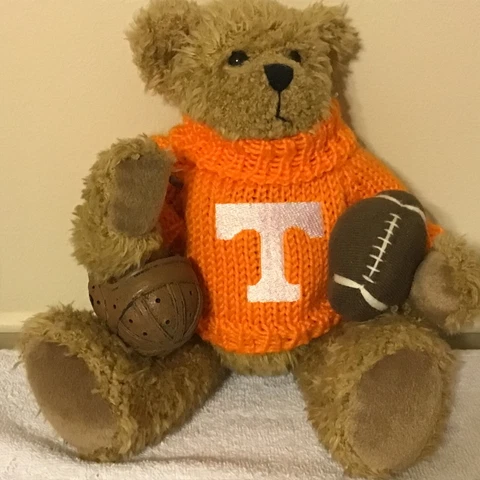 University of Tennessee Football Teddy Bear Cover