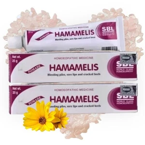 SBL Hamamelis Ointment Homeopathic 25 gm Pack of 2 Free Ship - Picture 1 of 3