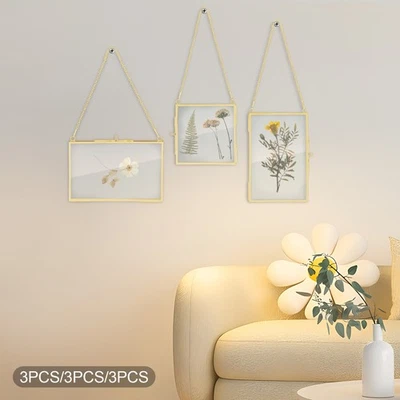 9-Piece Brass Glass Wall Hanging Frame Set for Dried Flower Display - Image 1 of 4
