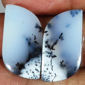 25.00 Cts Natural Dendrite Opal Pair Fancy Cabochon Gemstone 13x26x4 mm GQ-119 - Picture 1 of 6