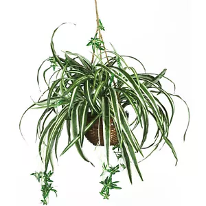 Nearly Natural Spider Hanging Basket Silk Plant Realistic Home Garden Decor - Picture 1 of 1