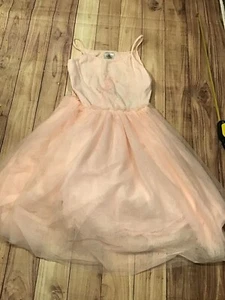 Disney Parks Frozen Elsa Pink Dress Size 9/10 - Picture 1 of 6