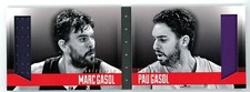 Marc Gasol & Pau Gasol 2013-14 Panini Preferred Dual Jersey Relic Booklet #/199