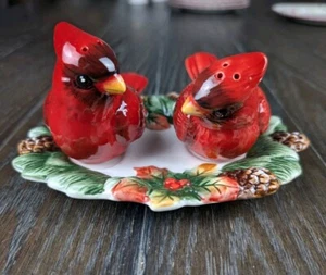 Cardinal Salz & Pfefferstreuer Set Keramik  - Bild 1 von 7